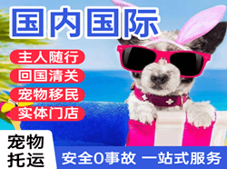 长治航空运输国际宠物托运 【国